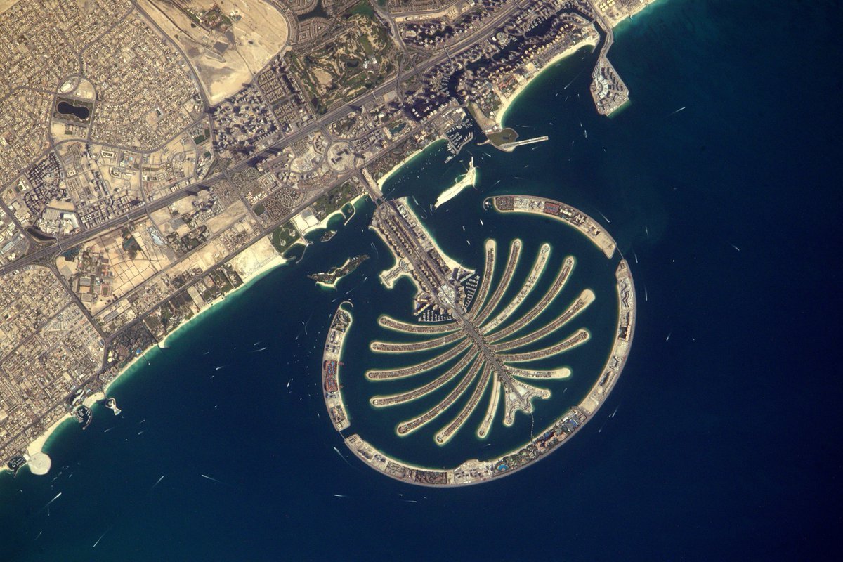 Пальма Джумейра в Дубае