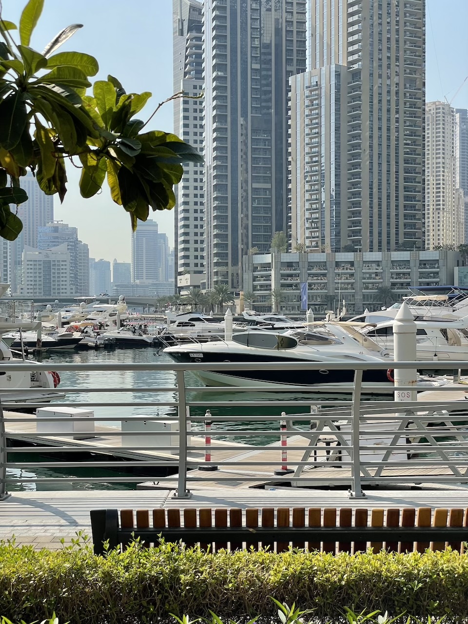 Pêche abordable à Dubaï : Les secrets d’un séjour à petit budget.